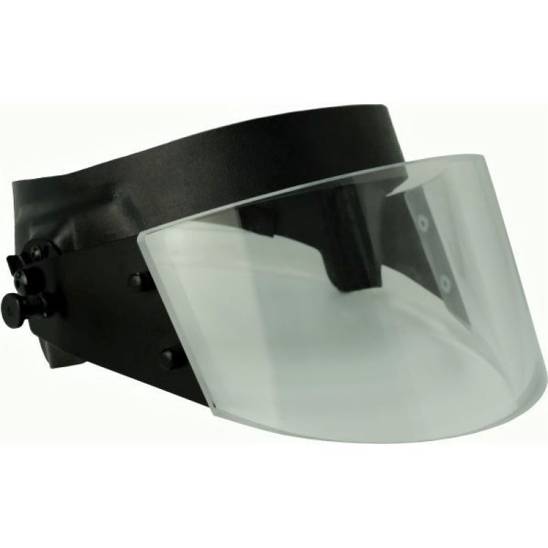 VISOR 1